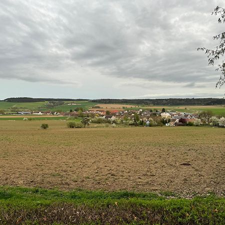 Chata U Lesa Přeštice Exterior foto